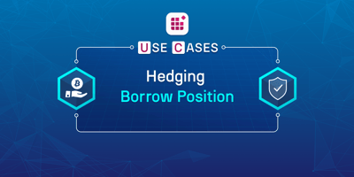 Use Case - Hedging Borrowing Position